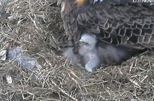 ScreenHunter_34 Mar. 31 13.59.jpg